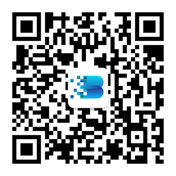 BIREN R&D Institute